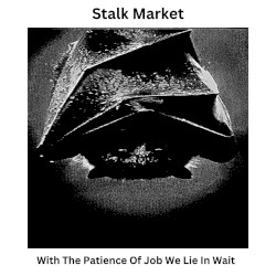 With the Patience of Job We Lie in Wait