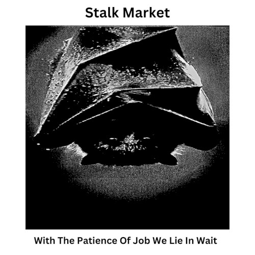 With the Patience of Job We Lie in Wait
