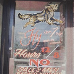 Fly