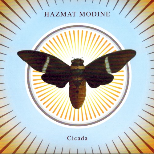 Cicada