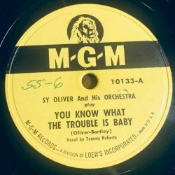 You Know What the Trouble Is Baby / Lammar's Boogie