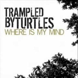 Where Is My Mind?
