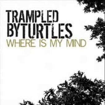 Where Is My Mind?