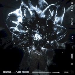 Flood Remixed