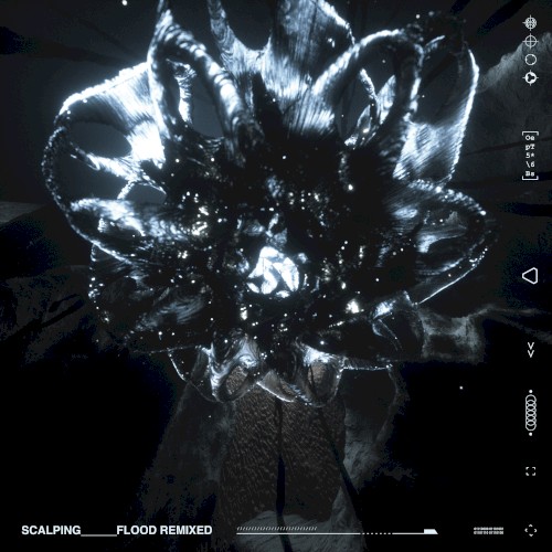 Flood Remixed
