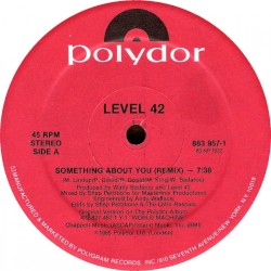 Something About You (remix)