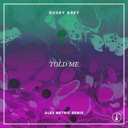Told Me (Alex Metric remix)