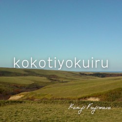 kokotiyokuiru