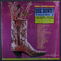 Hoe Down! Volume 6: Country Blues Instrumentals