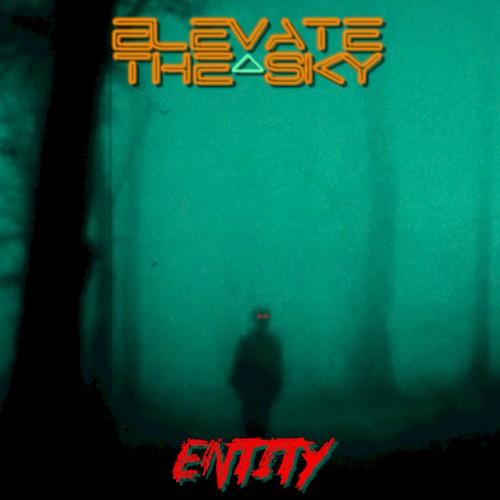 Entity