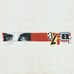alibi