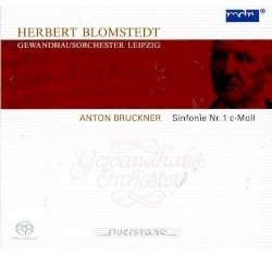 Sinfonie Nr. 1 C-Moll