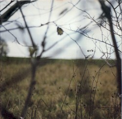 The Cycle of Days and Seasons