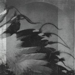 Wild Works Volume 1