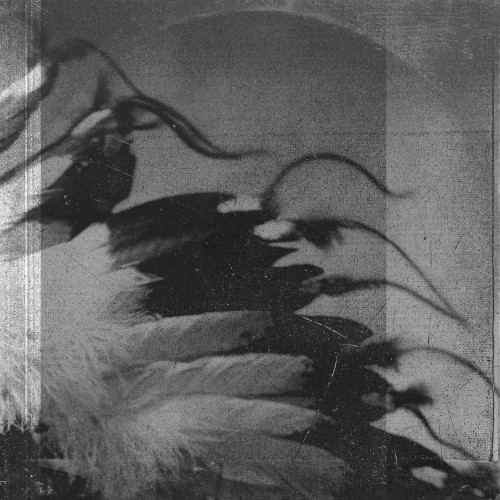 Wild Works Volume 1