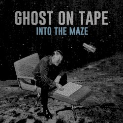 INTO THE MAZE