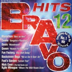 Bravo Hits 12