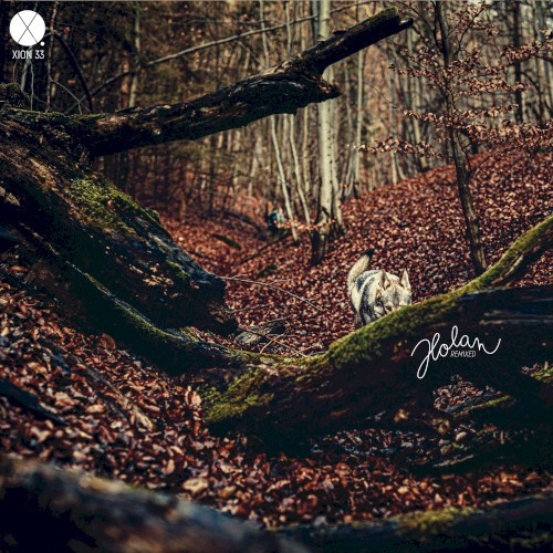 Holan Remixed