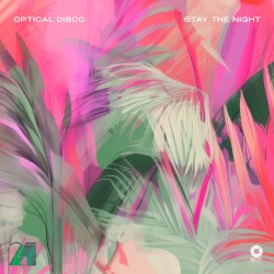 Stay The Night