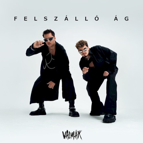 Felszálló Ág