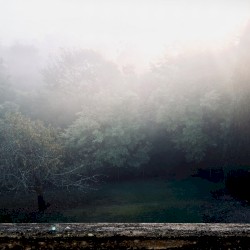 Spectral