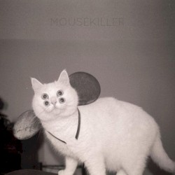 Mousekiller