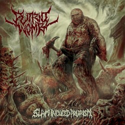 Slam Induced Priapism