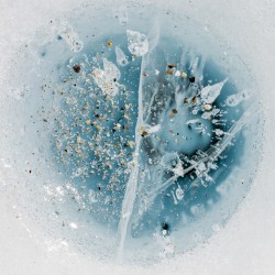 Snow From Yesterday
