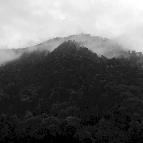 Environmental Music for Reading