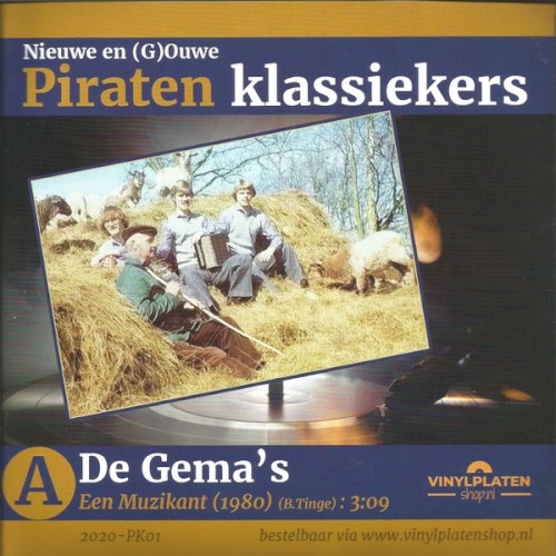 Een muzikant