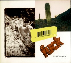 Cupid’s Cactus