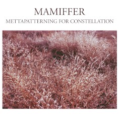 Mettapatterning for Constellation