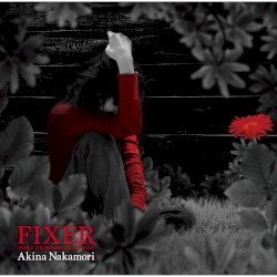 FIXER -WHILE THE WOMEN ARE SLEEPING-