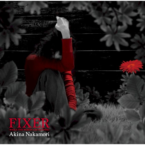 FIXER -WHILE THE WOMEN ARE SLEEPING-