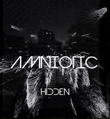 HIDDEN