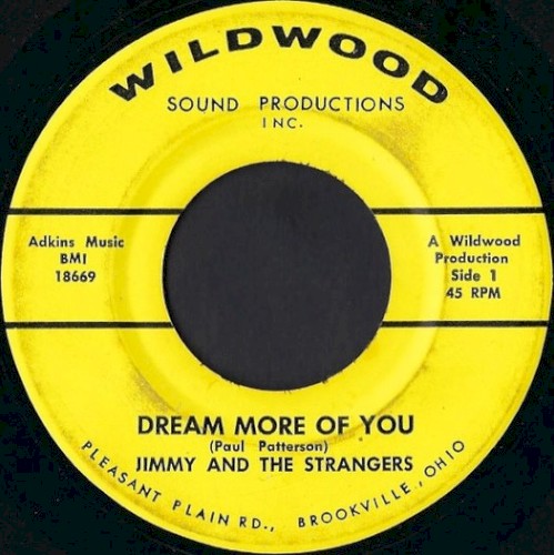 Dream More Of You / Walk On
