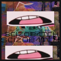 SCHIZOB1TCH