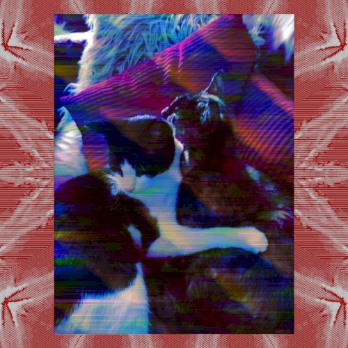 Maisy