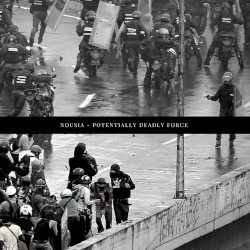 Potentially Deadly Force