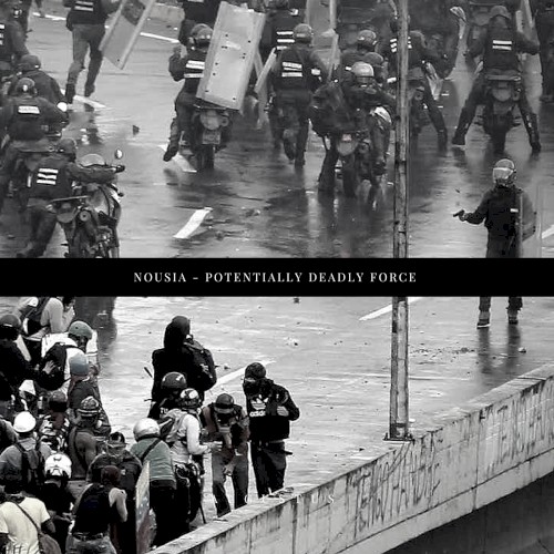 Potentially Deadly Force