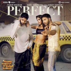 PERFECT (From "Sunny Sanskari Ki Tulsi Kumari")