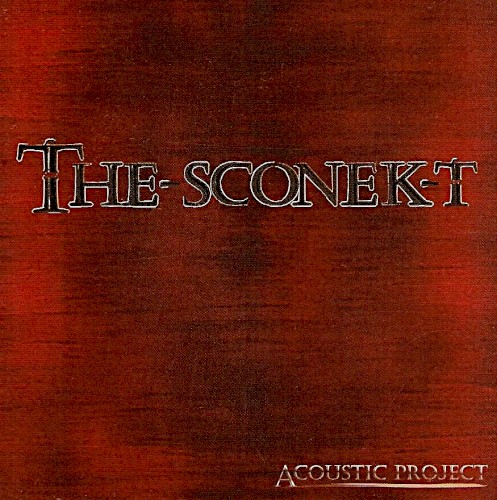 Acoustic project