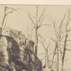 Wild Works Volume 16