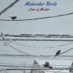 Midwinter Birds