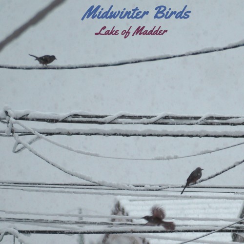 Midwinter Birds