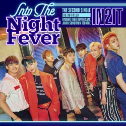 Into the Night Fever