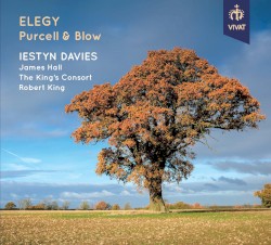 Elegy