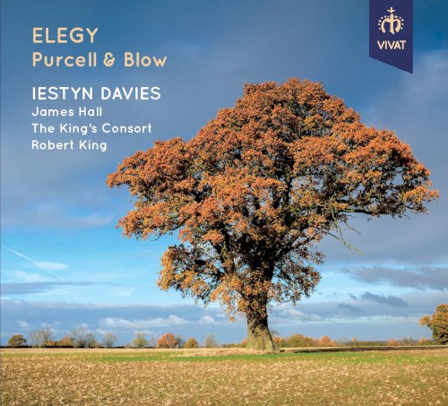 Elegy