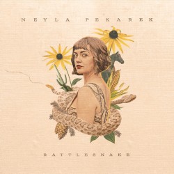 Rattlesnake