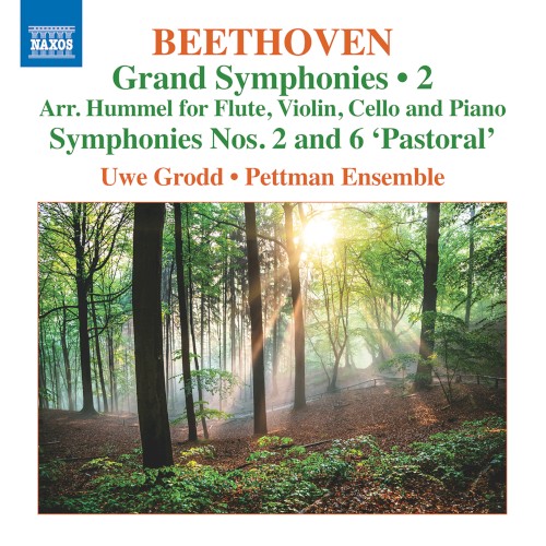 Grand Symphonies • 2: Symphonies nos. 2 and 6 "Pastoral"